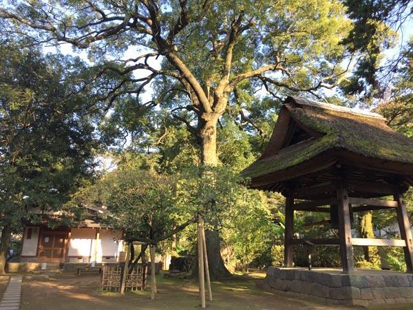Masutomi Ryokan Hakone Luaran gambar
